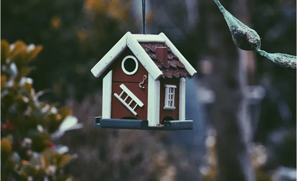 Modern house with pool